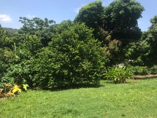 Land For Sale, Laborne, Monchy